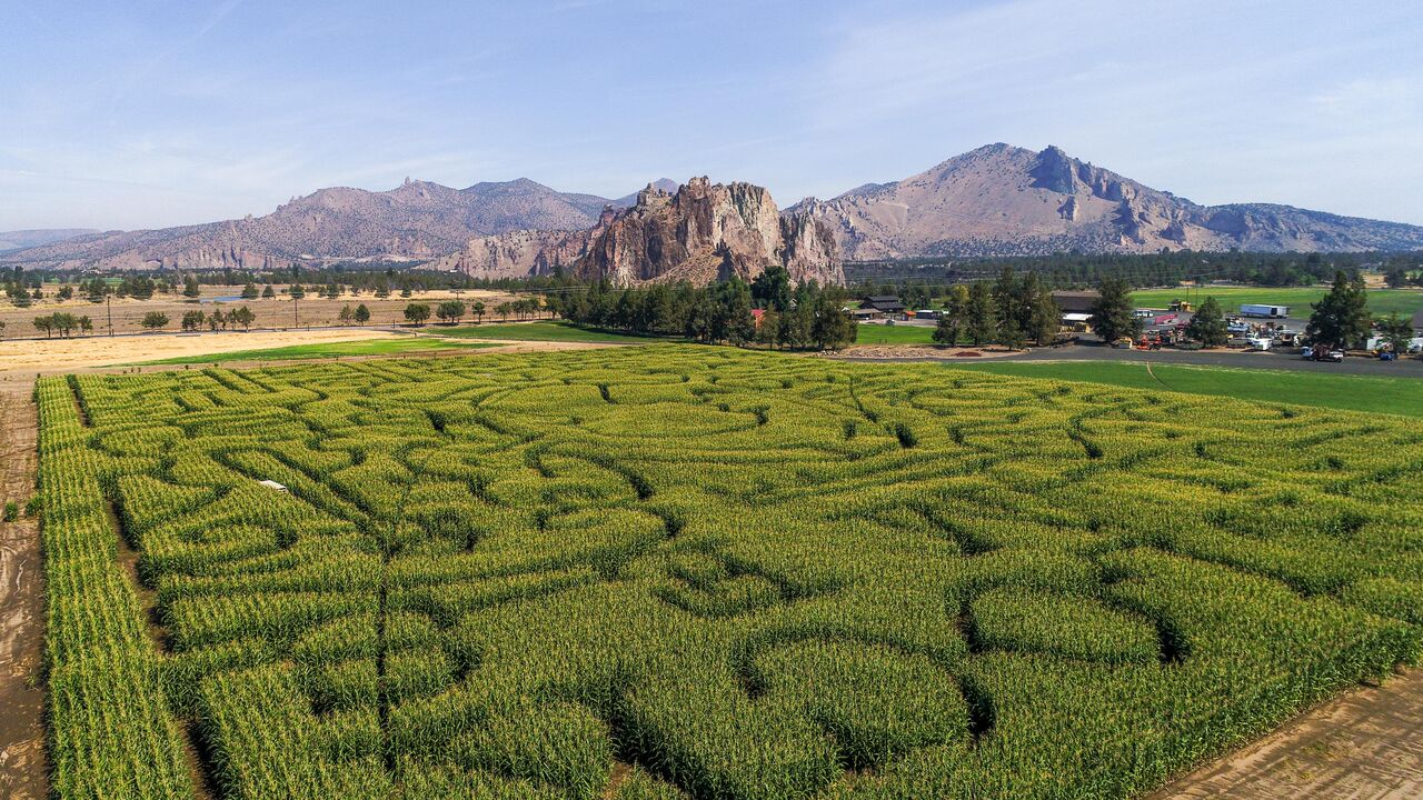 Pick A Pumpkin And Get Lost In The Corn Maze With A Million-Dollar View of Oregon’s Backcountry