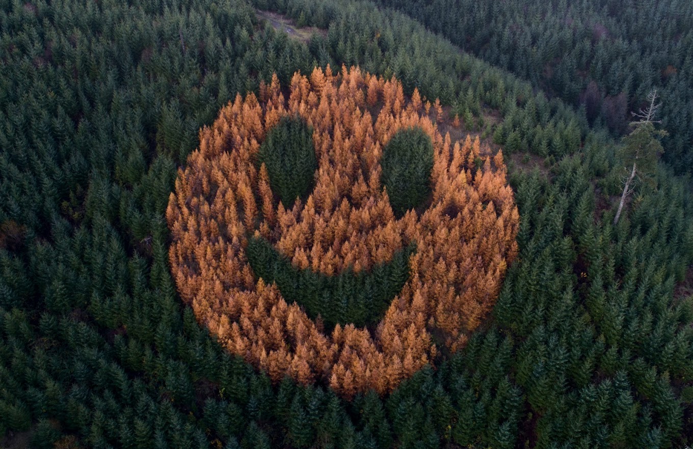 Smiley face, photo by Mariela Alepopoulou Google Local smiley face hill