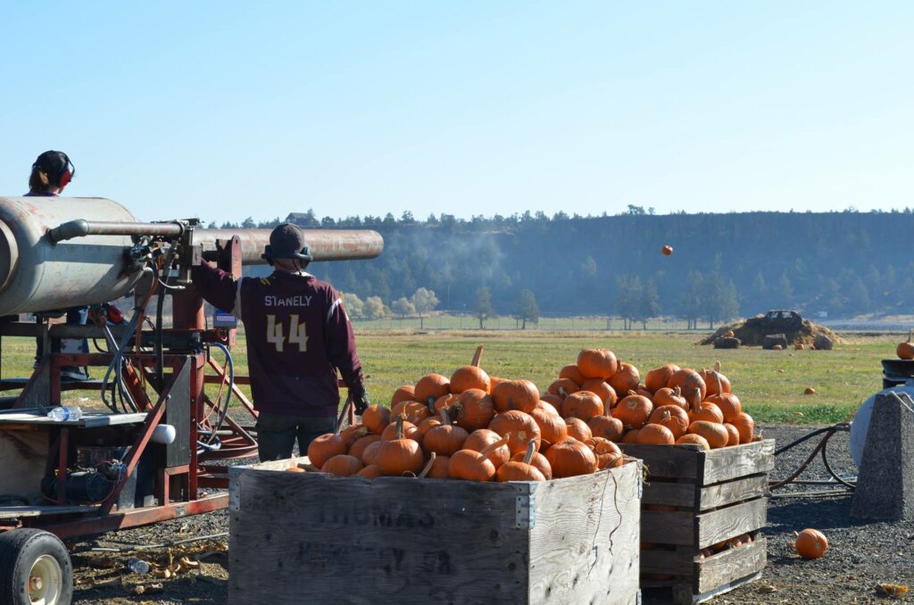 Smith Rock Ranch, Terrebonne Oregon, Family Fun, Central Oregon, Bend, Redmond, Things To Do, Pumpkin Patch, Hay Rides, Pumpkin Cannon, Giant Corn Maze, East of the Cascades, Dog Friendly Adventures, Good Food, Mini Golf, Best of Oregon