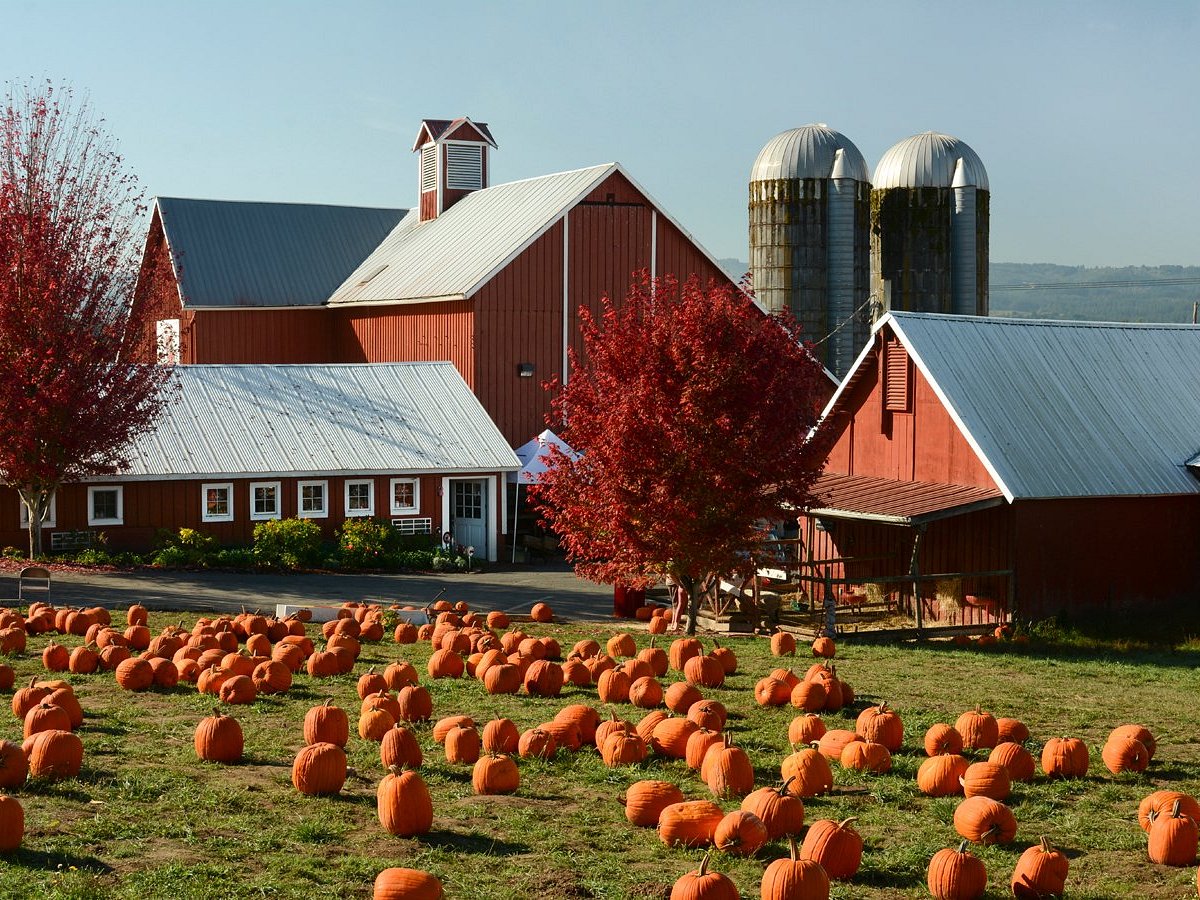 farm-store-in-the-fall oregon heritage farm