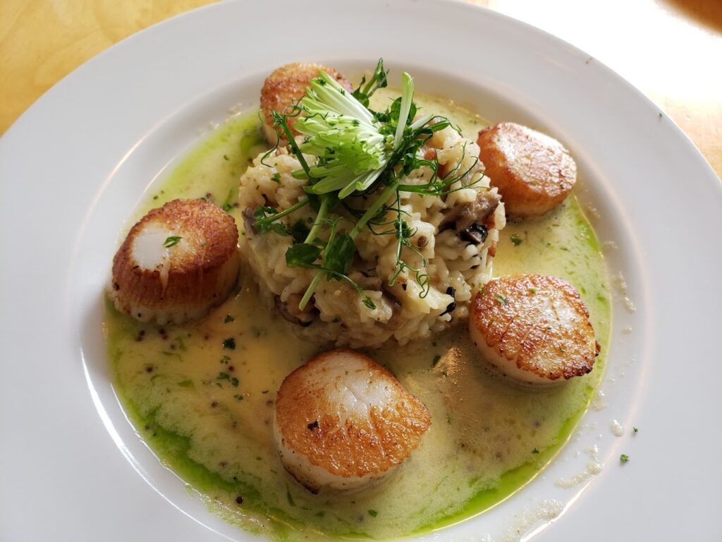 scallops