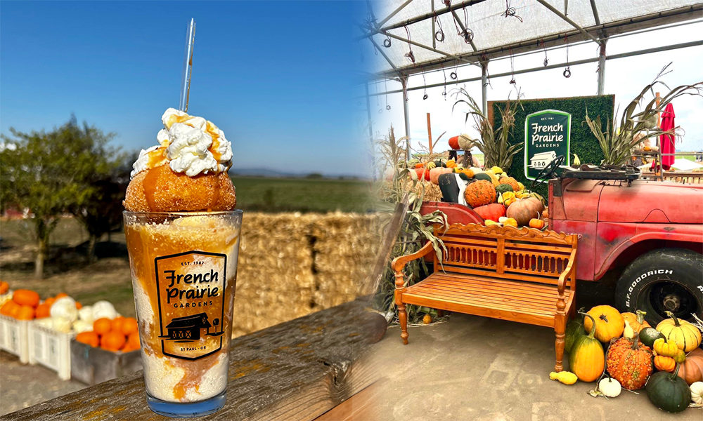 This Pumpkin Patch In Oregon Has Apple Cider Floats That’ll Put Your Pumpkin Spice Latte To Shame