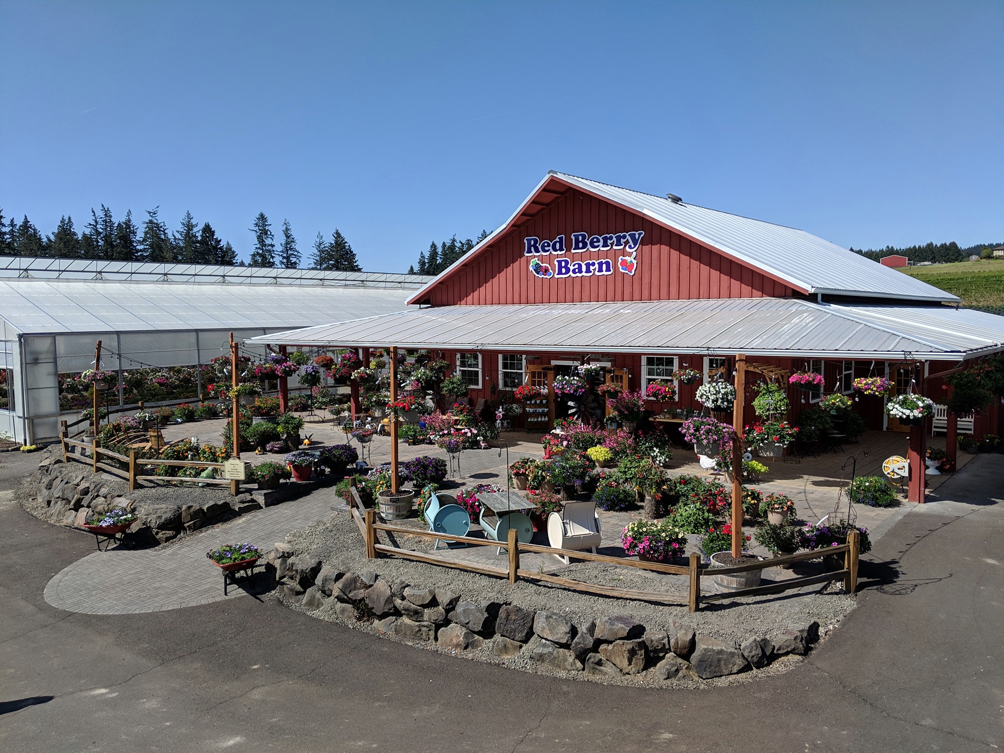 red berry farm red berry Barm oregon