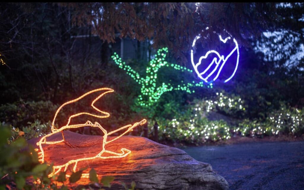 Newport Lights