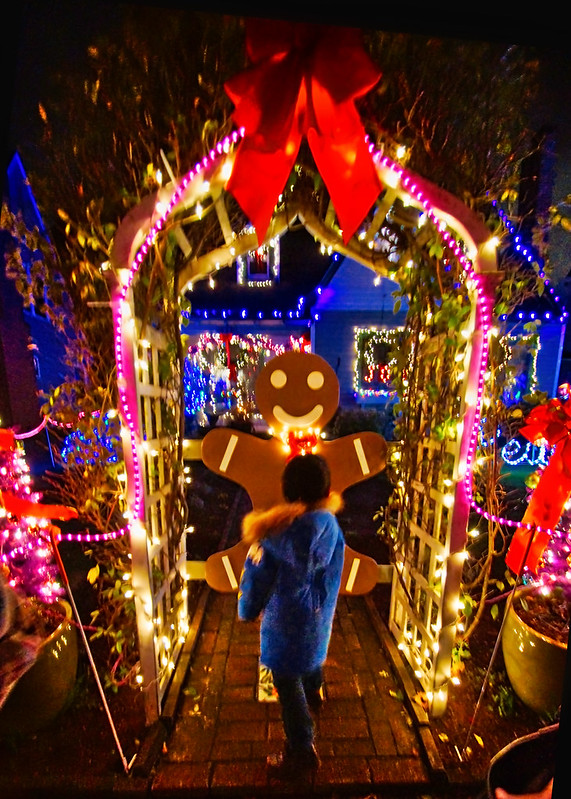 Peacock lane