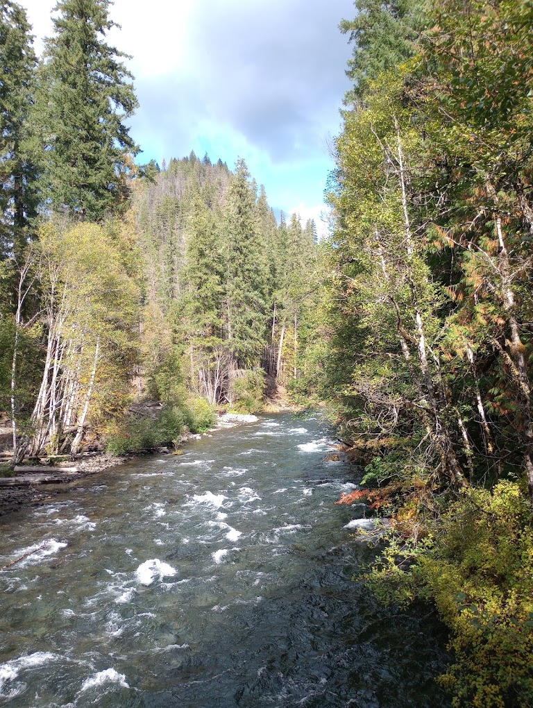 McKenzie River