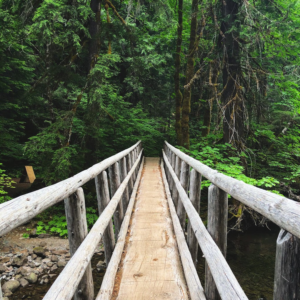bridge