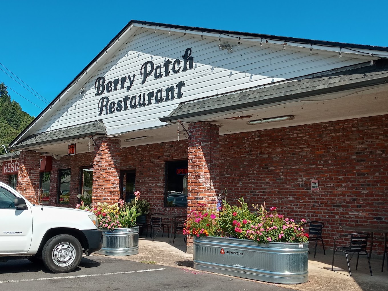 featured, Garett Chong Google Local Berry Patch