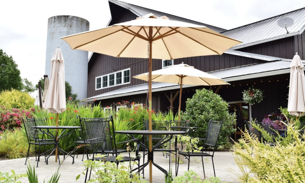 willamette valley, oregon, wine, NW Wine Shuttle, winery tours, food and drink, cheers, pinot noir, carlton oregon, shuttle bus, vineyards, vino, things to do