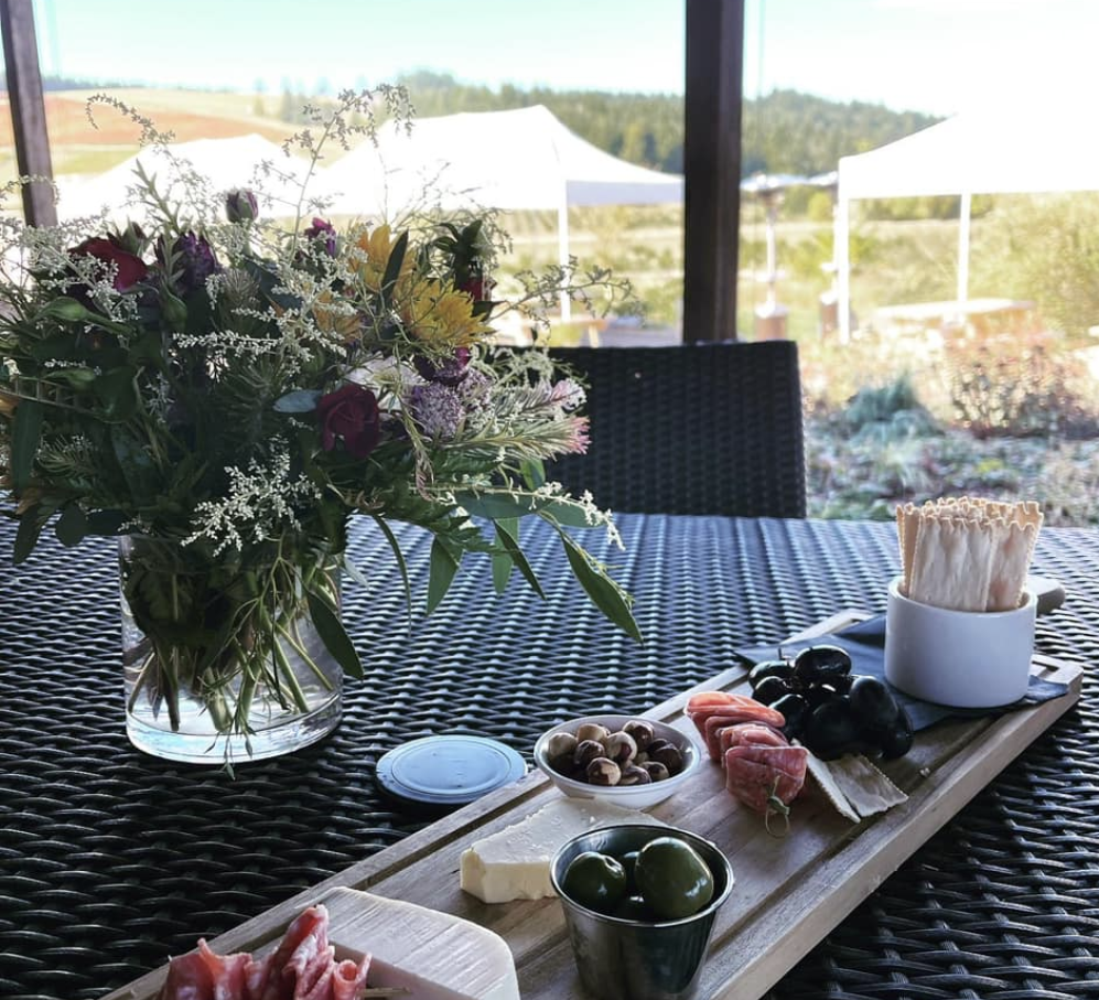 willamette valley, oregon, wine, NW Wine Shuttle, winery tours, food and drink, cheers, pinot noir, carlton oregon, shuttle bus, vineyards, vino, things to do