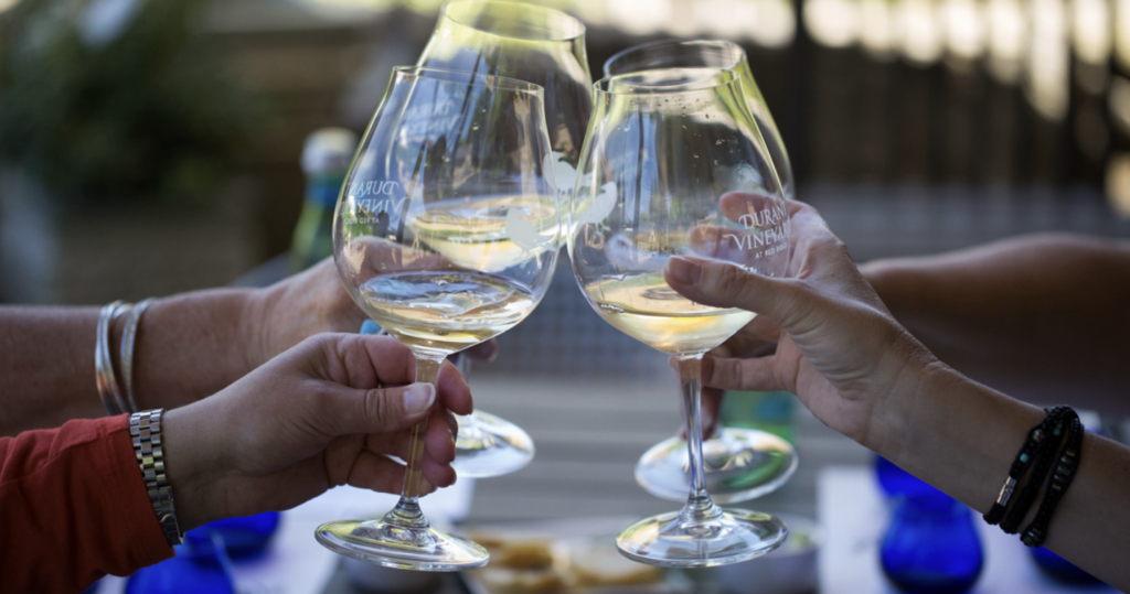 willamette valley, oregon, wine, NW Wine Shuttle, winery tours, food and drink, cheers, pinot noir, carlton oregon, shuttle bus, vineyards, vino, things to do