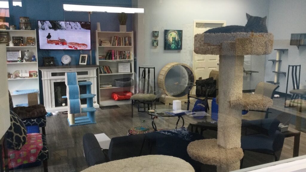 inside of lounge