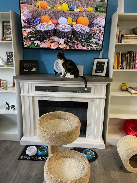 watching tv