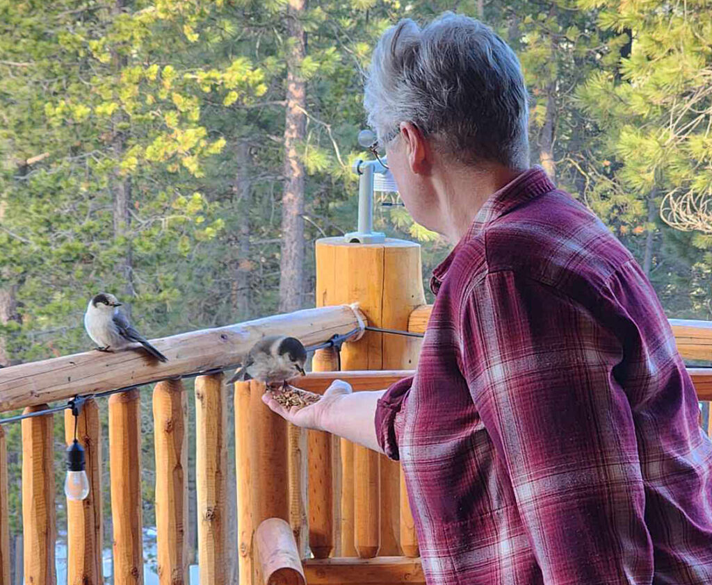red cone lodge, central oregon, crescent lake, best bed and breakfast, family getaway, romantic getaway, recovery retreats, romantic cabin, forest bathing, things to do, adventures, that oregon life, airbnb, best lodging in oregon, where to stay, things to do, bend, crater lake, odell lake