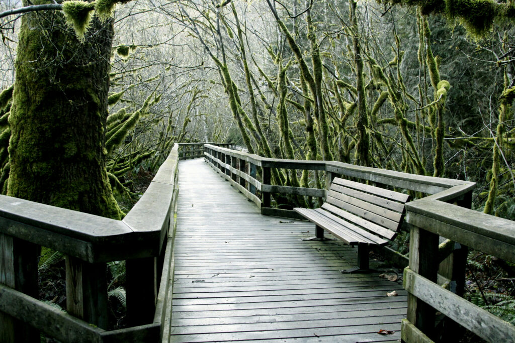 A boardwalk trail at Wildwood Recreation Area.