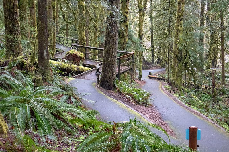 A paved switchback trail at Wildwood Recreation Site.