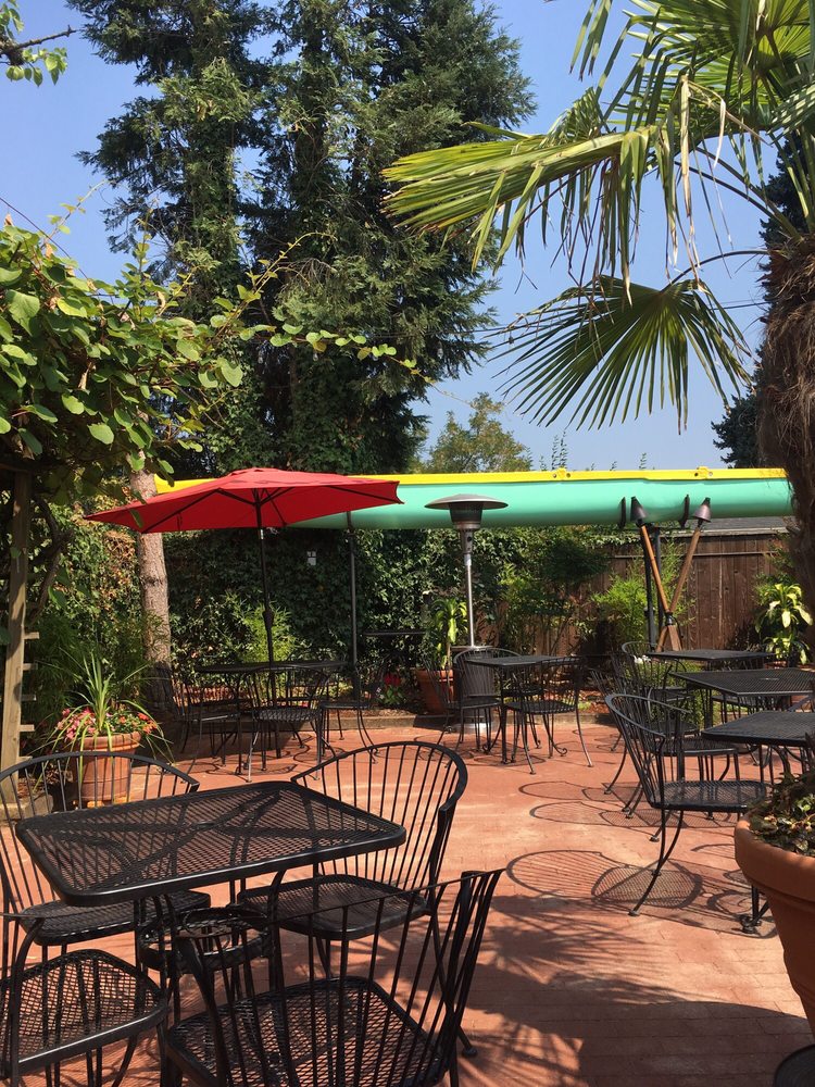 The outdoor patio. There are plants everywhere, including a palm tree.