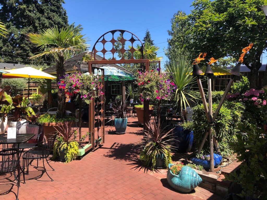 The outdoor patio. There are plants everywhere, including a palm tree.