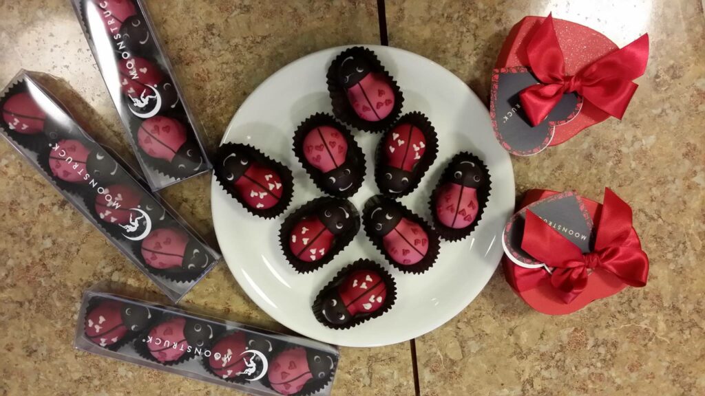 Cute chocolate lady bugs!