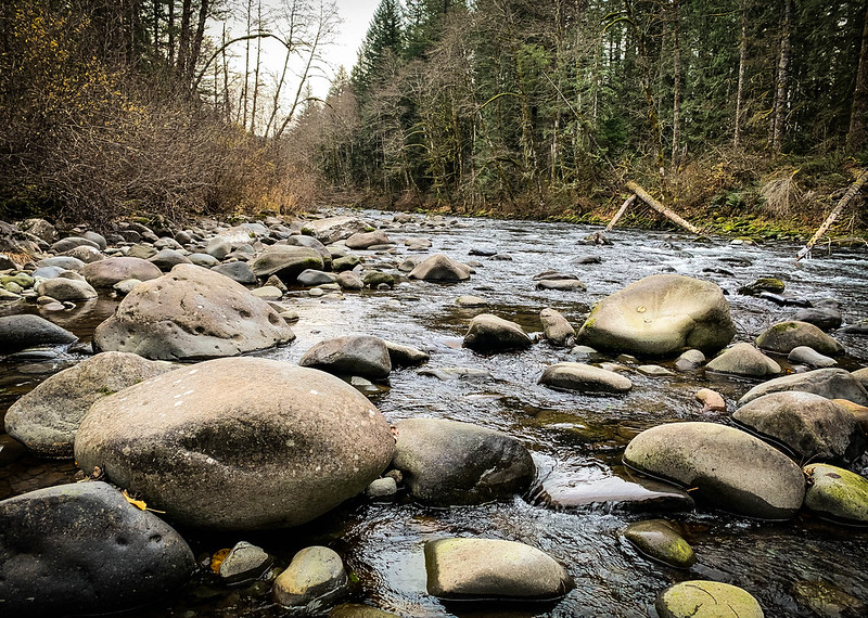 The Scenic Salmon River at Wildwood Recreation Area.