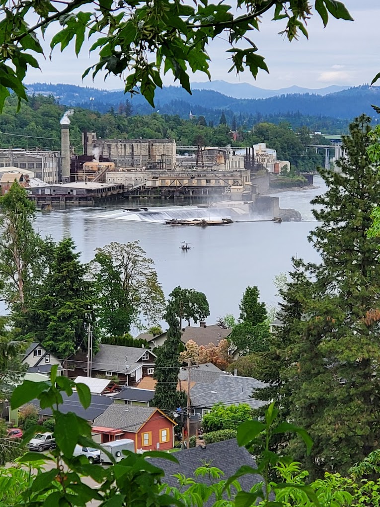 open fields, canemah bluff, oregon city, willamette falls, best hiking, playground, native history, camassia, hikes for kids