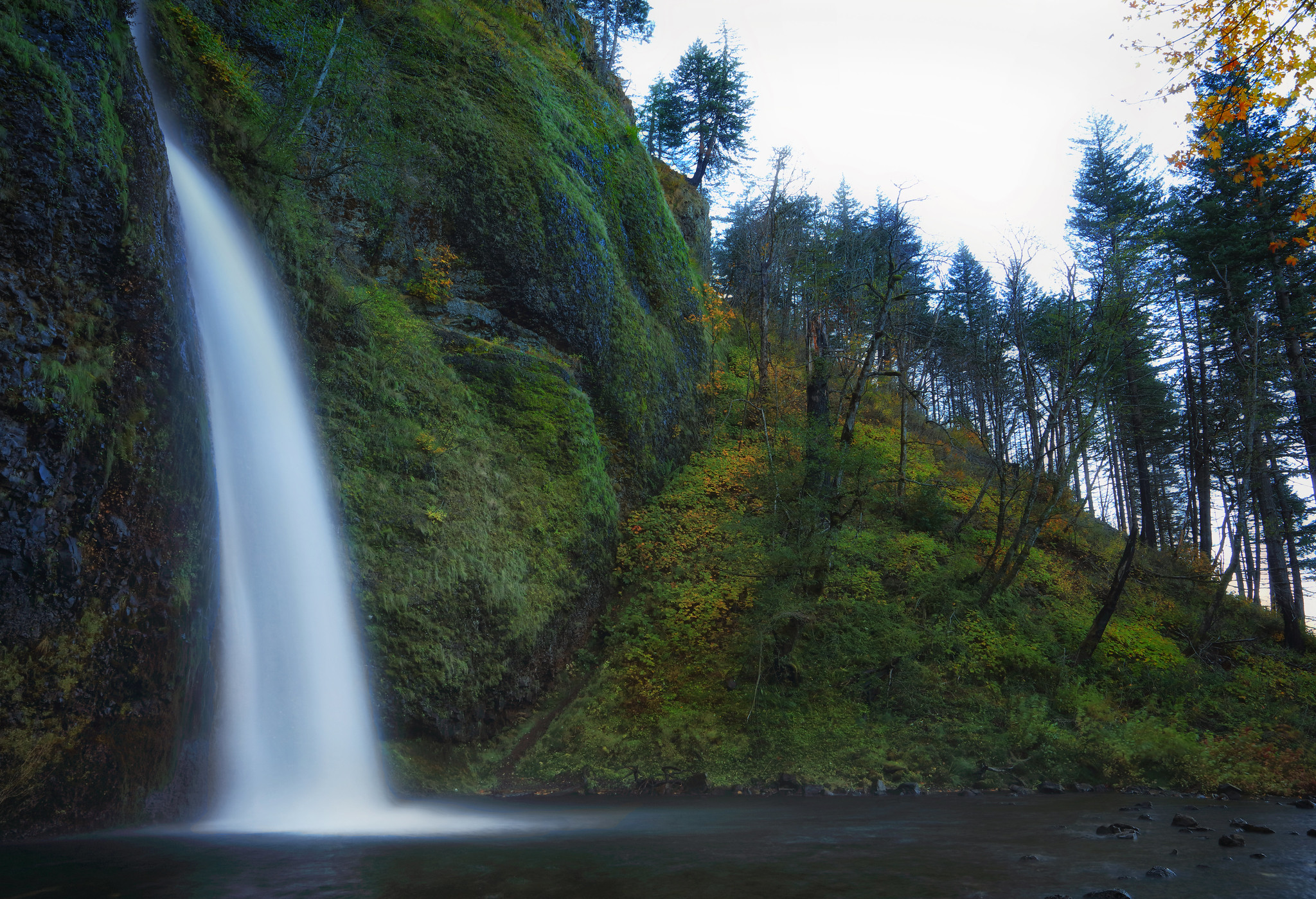 horsetail horsetail falls oregon
