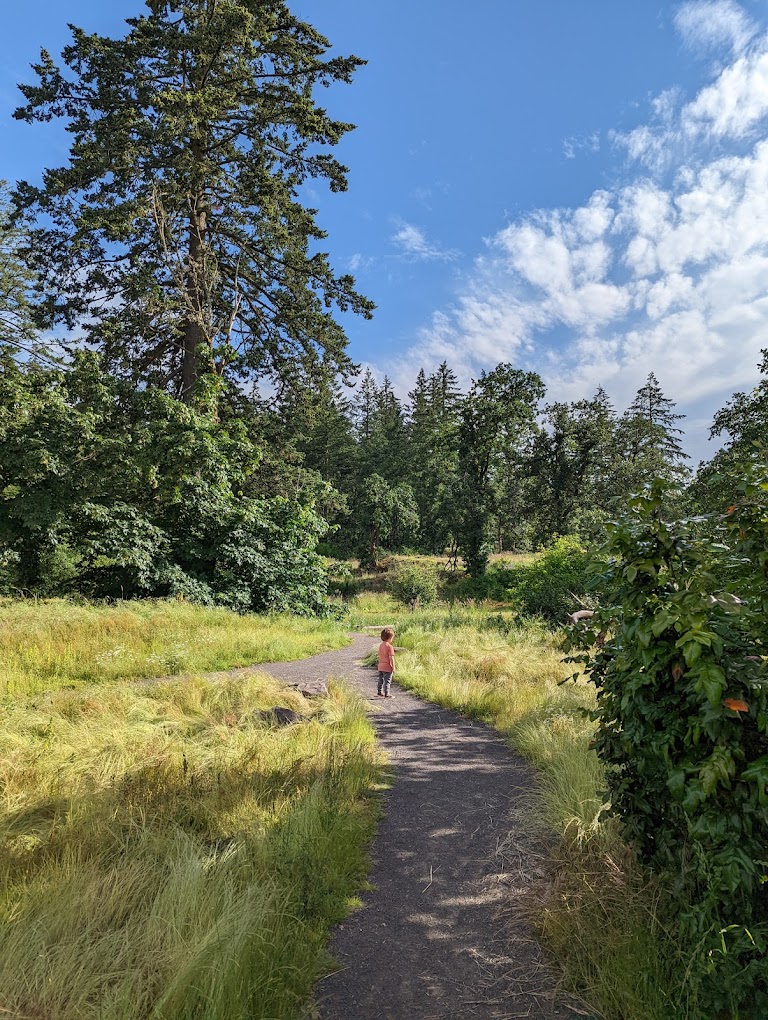 open fields, canemah bluff, oregon city, willamette falls, best hiking, playground, native history, camassia, hikes for kids
