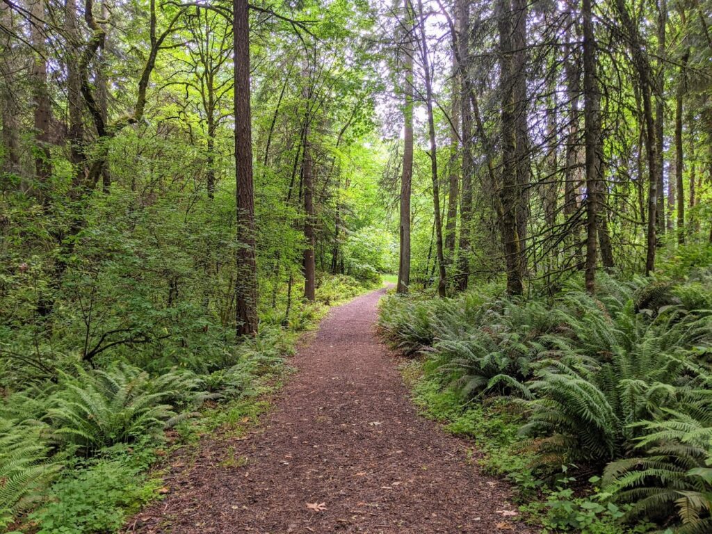 open fields, canemah bluff, oregon city, willamette falls, best hiking, playground, native history, camassia, hikes for kids