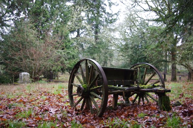 open fields, canemah bluff, oregon city, willamette falls, best hiking, playground, native history, camassia, hikes for kids, pioneer cemetery