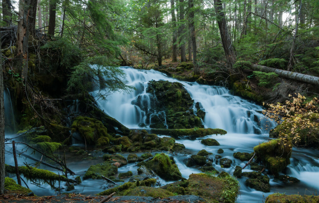 Pearsony Falls near Prospect, Oregon