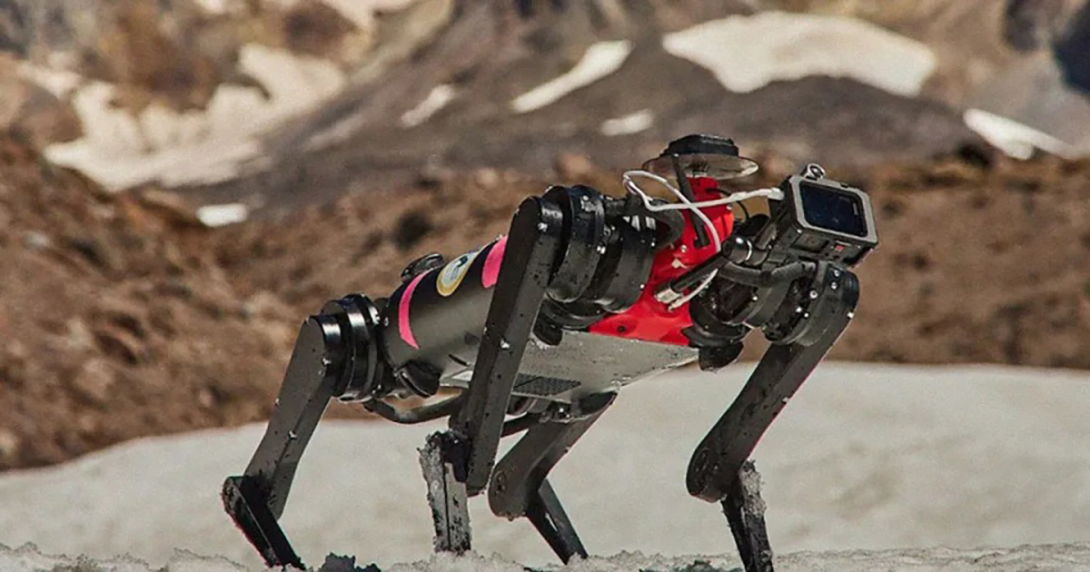 robo dog lassie robo dog