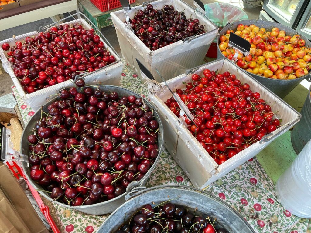 Buckets full of at least five kinds of cherries! Each kind is separated out into it's own bucket. They look so delicious! At Draper Girls Country Farm In Mount Hood Parkdale, Oregon.