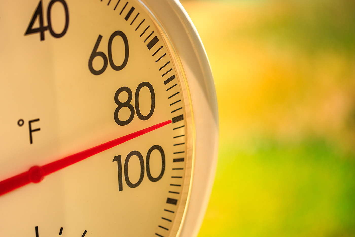 Portland Could Hit 90 Degrees Tomorrow As Oregon Braces For Sudden Heat Spike