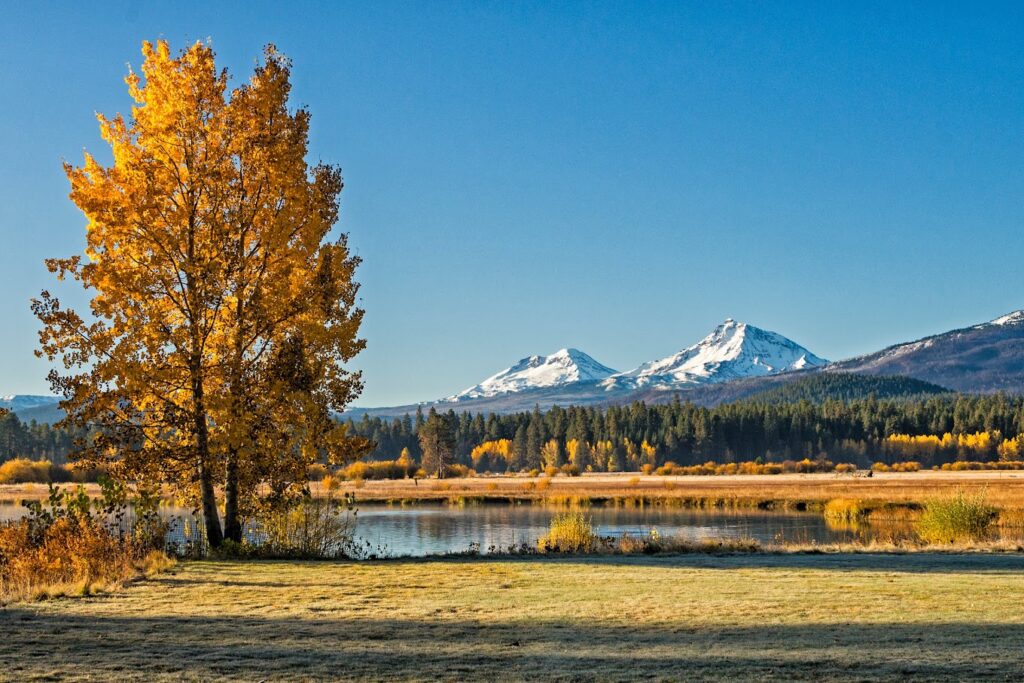 A scenic landscape featuring orange aspen trees in the fall, a lake, and two snow covered mountains. It's a really idyllic scene.