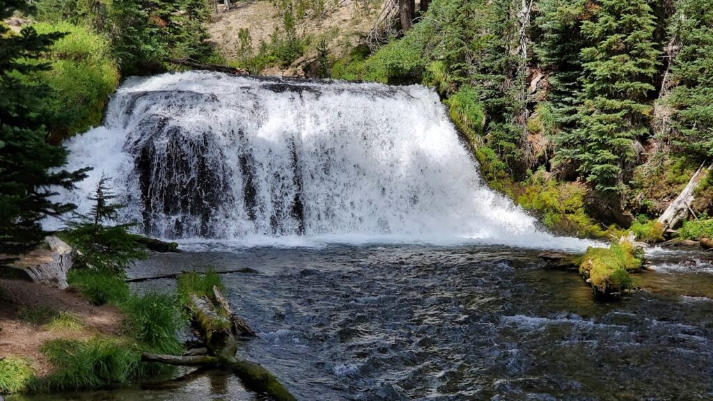 A low, rushing waterfall that is about five feet high on the creek.