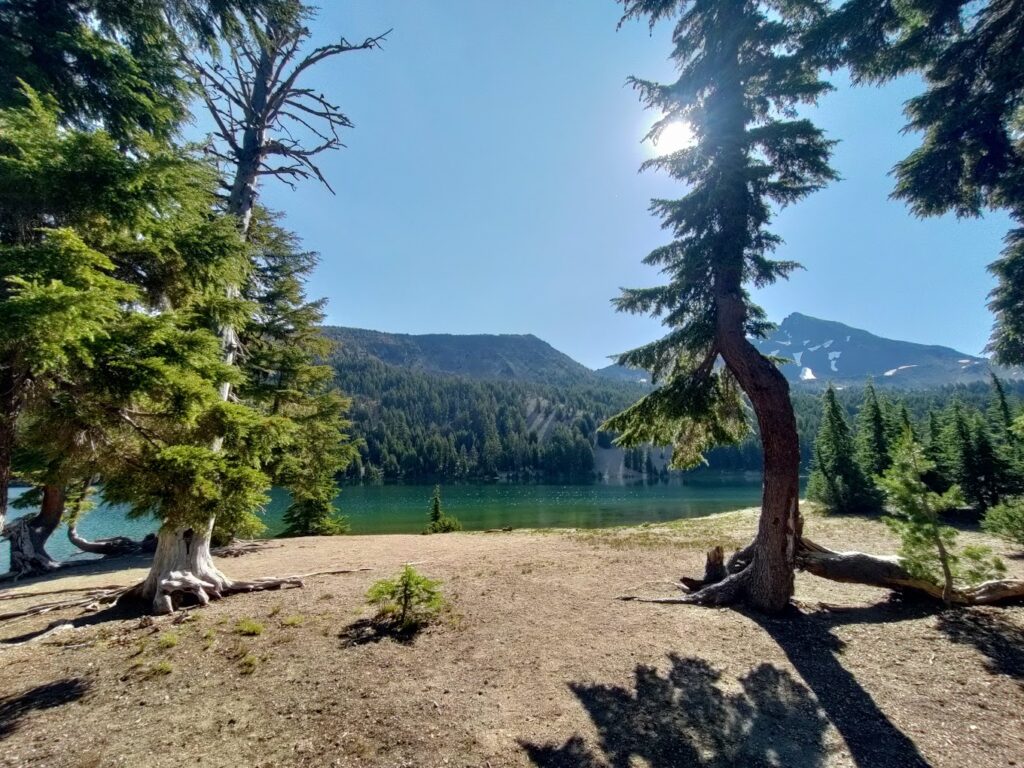 Two trees frame this photograph of a little mountain lake with clear, green water and hills in the background.