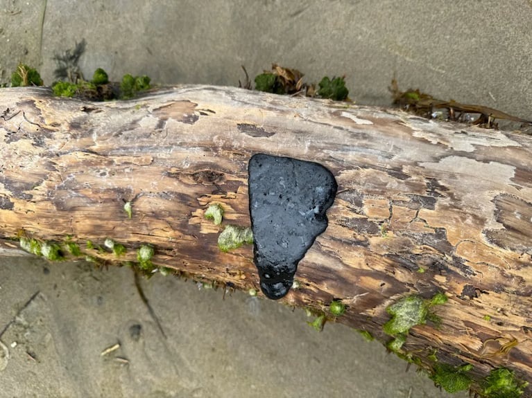 black tar black tar on oregon coast
