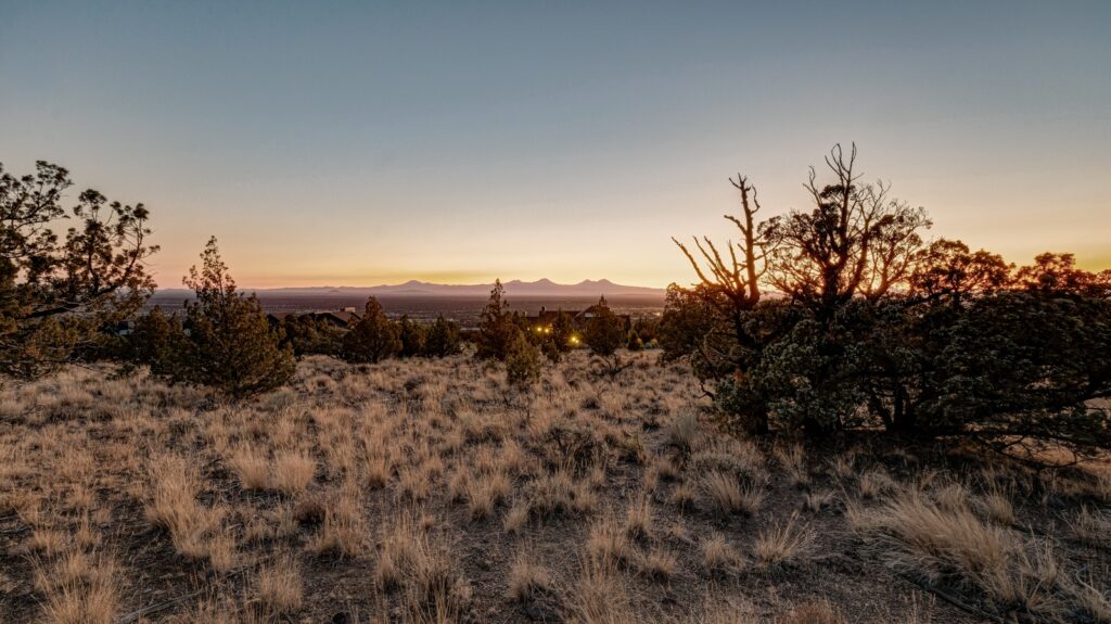 The high desert at Brasada at sunset. There is an area with sparse desert grass, desert trees, sage, and mountains in the distance. It's clear skies and a fading sunset with pale yellow and blue tones and a hint of pink playing off of the mountains in the distance. It's very pretty. The high desert has it's own kind of beauty.