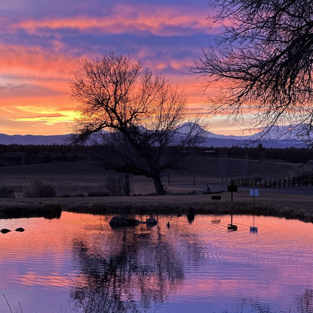 A small lake at sunset with snowy mountains in the distance. The sunset colors are pink, blue, and bright orange.