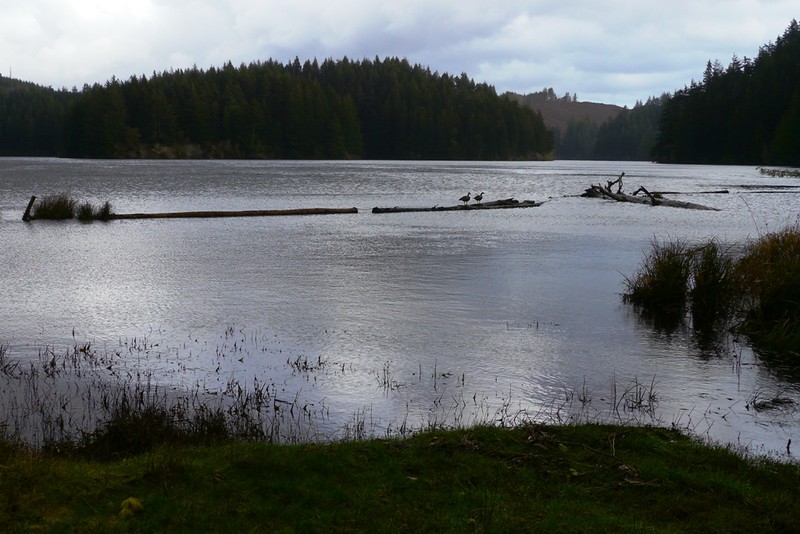 Eel Lake at Tugman State Park on a cloudy day. The lake is surrounded by forested hills.