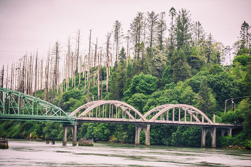 The Umpqua River Bridge as it goes onto an island covered in lush coastal forest.