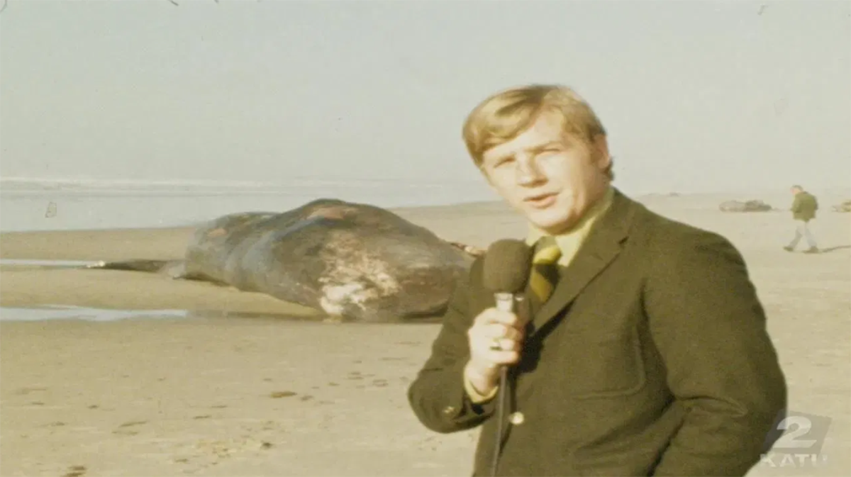 dead whale3