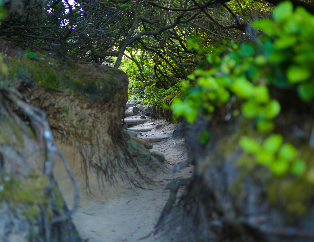 Hobbit Trail and Hobbit Beach, Oregon: Complete Hiking Guide
