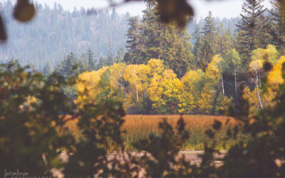 8 Unforgettable Adventures You’ll Want to Experience in Oregon This October