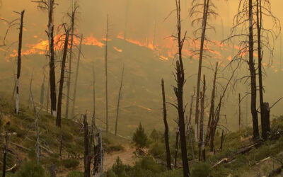 Oregon Battles More Wildfires This Year Versus Last as New Fire Near Blue River Erupts