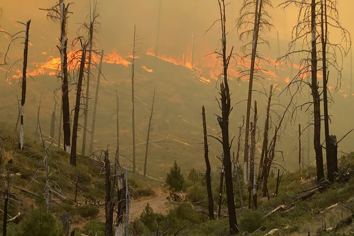 oregon-wildfire-071624-2-2ccd6df Wildfire burns in Oregon
