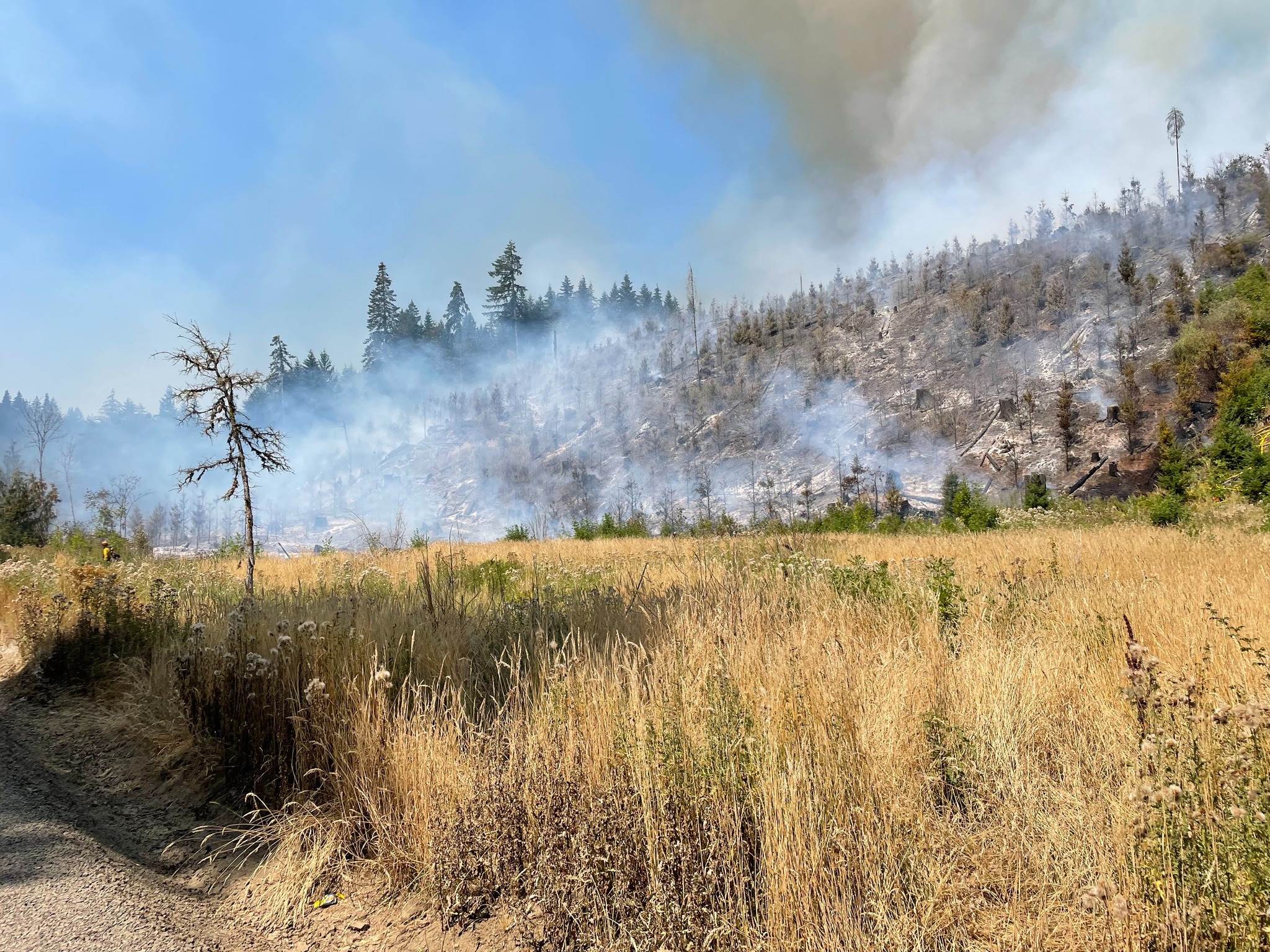 454423246_969239035244445_212780 lee falls fire oregon