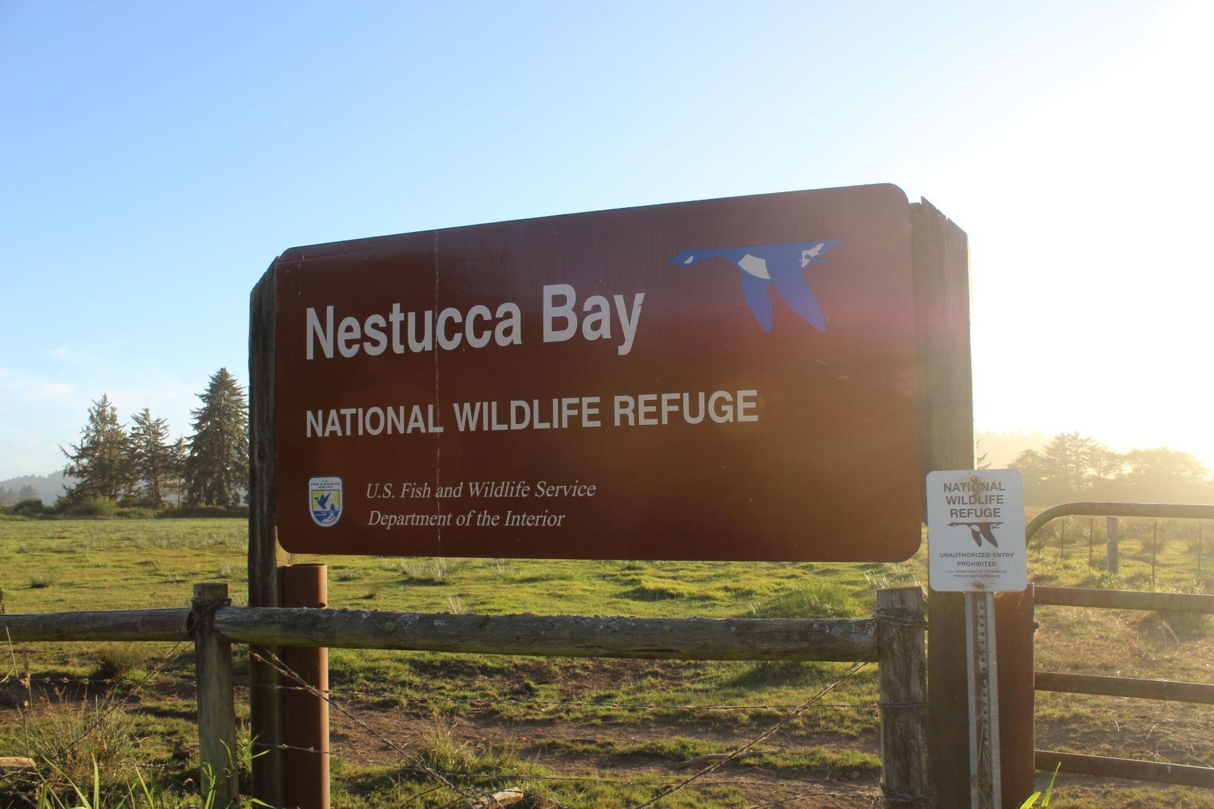 5b89b7b263406.image_ nestucca bay wildlife refuge