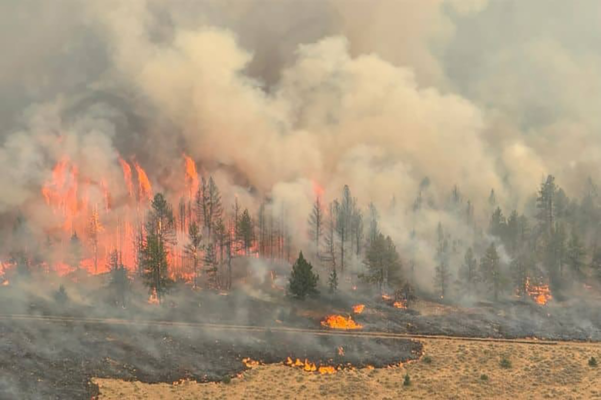 COST-OF-WILDFIRES