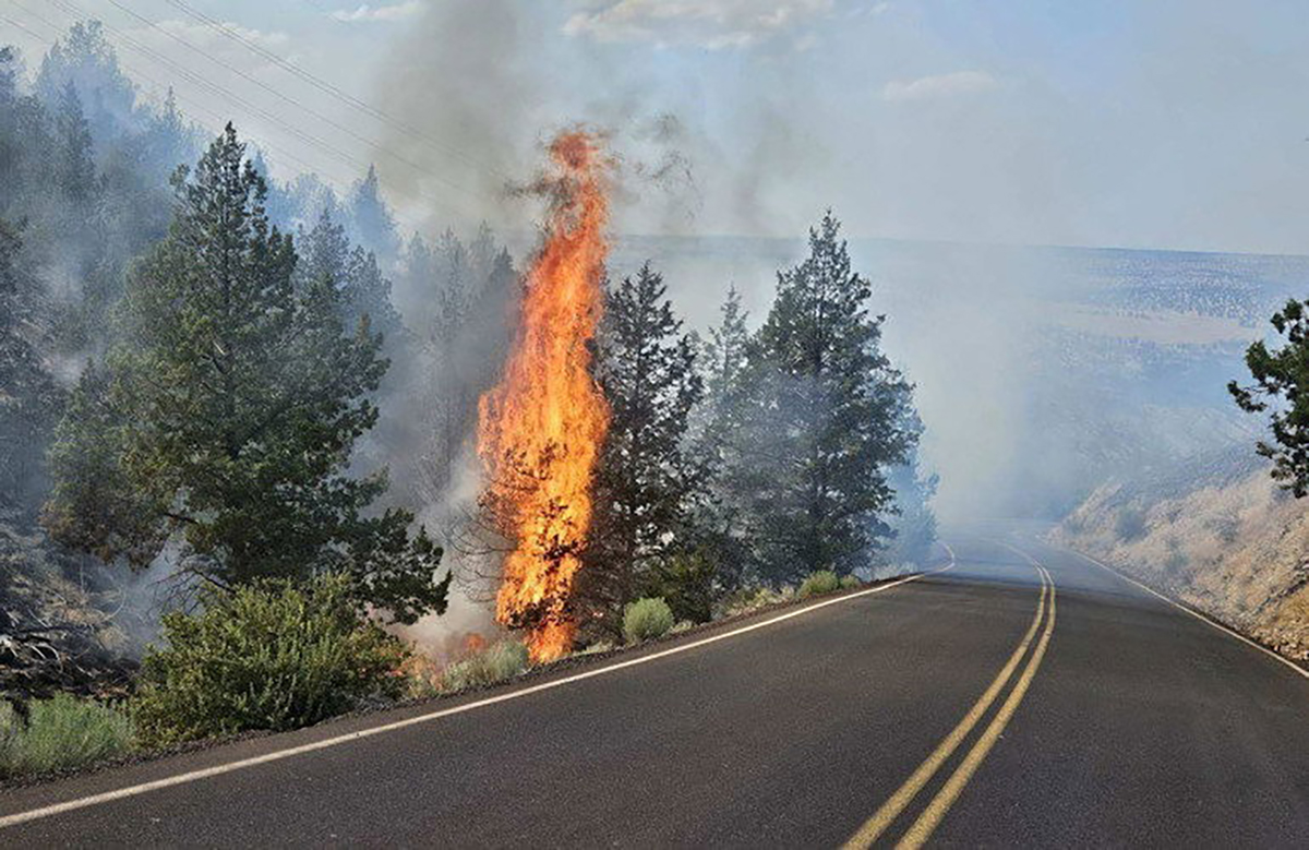 Elk-Lane-Fire-JCSO-84 elk lane fire
